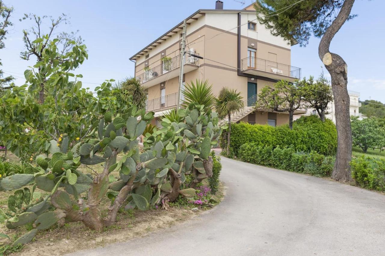 B&B Alba Sul Mare Guest House Massignano Luaran gambar